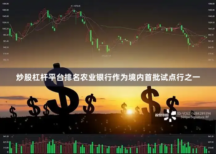 炒股杠杆平台排名农业银行作为境内首批试点行之一