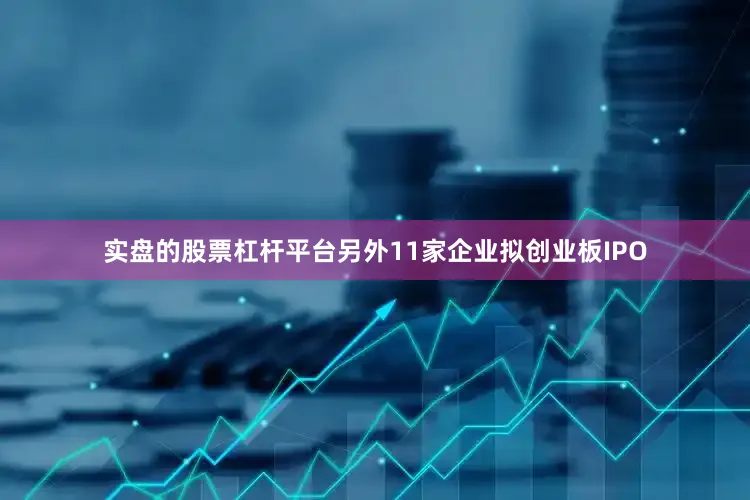 实盘的股票杠杆平台另外11家企业拟创业板IPO