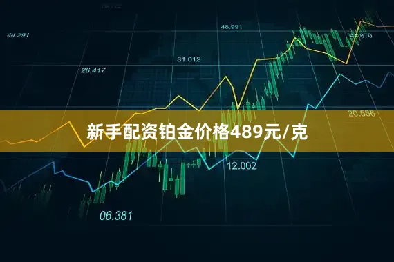 新手配资铂金价格489元/克