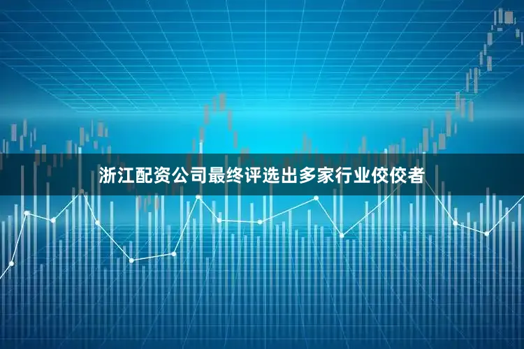 浙江配资公司最终评选出多家行业佼佼者