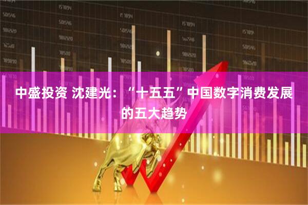 中盛投资 沈建光：“十五五”中国数字消费发展的五大趋势
