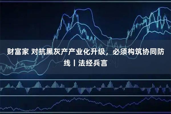 财富家 对抗黑灰产产业化升级，必须构筑协同防线丨法经兵言