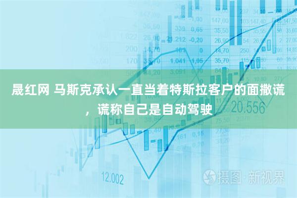 晟红网 马斯克承认一直当着特斯拉客户的面撒谎，谎称自己是自动驾驶